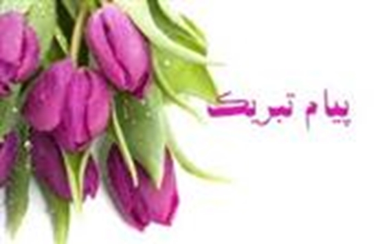 کمیته تحقیقات دانشجویی